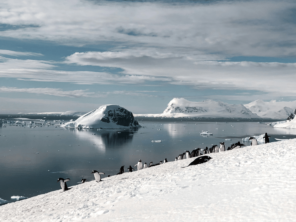 péninsule Antarctique