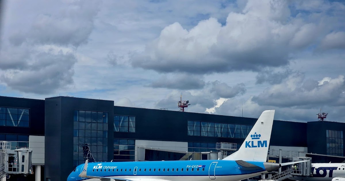 Belgrade-bound family sues KLM over bedbugs