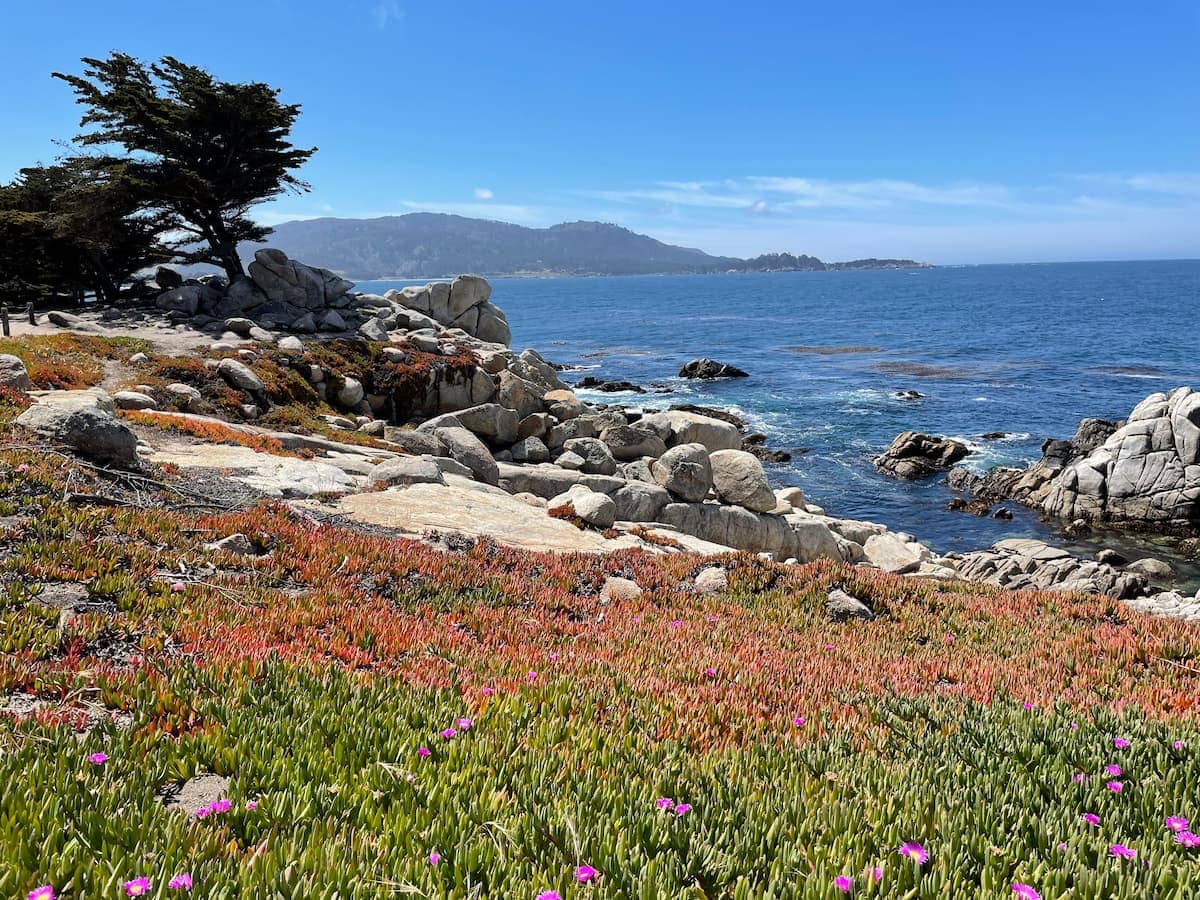 Pebble Beach&rsquo;s 17-Mile Coastal Drive Delivers Jaw-Dropping Pacific Views