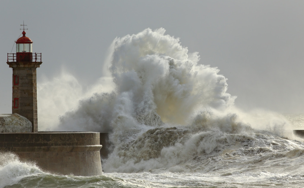 Tempête Goretti : le trafic ferroviaire au ralenti en Bretagne et interrompu en Normandie